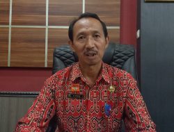 Optimalisasi Lahan Sawah di Sanggau Terus Dilakukan Pemerintah