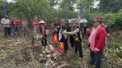 Ritual Adat Nosu Minu Podi di Ladang, Pelestarian Tradisi Budaya Dayak Sanggau