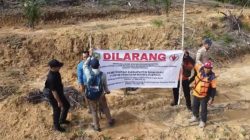 Pemkab Sanggau Segel Lahan PT Cipta Usaha Tani 