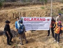 Pemkab Sanggau Segel Lahan PT Cipta Usaha Tani 