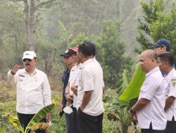 Bupati Sanggau Tinjau Lokasi Pembangunan Sekolah Rakyat di Desa Binjai